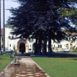 August 1961. Slide was labeled "Christian home of aunt Alice Peden". Lucy and Alice Peden were two of my Grandpa's (Oren) aunts. They were his mother's sisters, and they apparently lived together in California, and never married. Lucy died in 1951. Alice apparently died June 26, 1962, less than a year after this was taken, at the age of 101.
I think this must have been the nursing home where Alice spent her last days. I'm working on getting a little more information about this place; I have been told that it is still there.
Here's an image of the grave stone for both Lucy and Alice: https://www.findagrave.com/memorial/26185950/mary-alice-peden