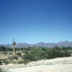 ArizonaDesertGilaBendAug1961
