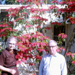 AtHomesteadHouseDec14_1965_byLu Taken by Lu McConnell