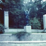 BernheimForestJune1961