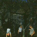 Joe, Mark, and David hanging around (and on) the cherry tree. October 1961