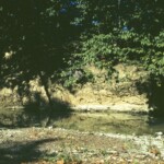 October 1961. Another picture of the hornet's nest over the creek.