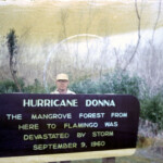 EvergladesJan17_1963_2