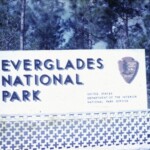 EvergladesJan17_1963_4