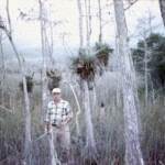 EvergladesJan17_1963_GettingOrchidsAndAirPlants