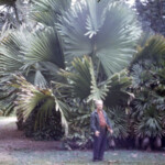 FairchildGardensMiamiJan20_1963_3