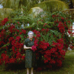 GrandmaTakenByMrsMcBroomAtUnderwoodsFeb1963