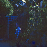 Grandpa At Emma Robbins Upland, Ca Aug1961
Emma Gurley Peden Robbins (http://www.padenfamily.org/getperson.php?personID=I36096&tree=peden1) was Oren's aunt. Clara Peden was Grandpa's mother's maiden name. Emma would have been his mother's sister. And Elizabeth would have been their half-sister, born to her father's (John Clark Peden's) second wife, after her mother (Oren's grandmother) had died. Emma was born May 4, 1874, and her mother (Cynthia Elizabeth Mathes) died April 4, 1875, before Emma was 1 year old. John Clark Peden married Anna Catherine Beuhler (from Switzerland) soon afterward, so Elizabeth (b. 1884) and his mother Clara were raised with their half-siblings. Emma would have been 10 years older than Elizabeth, her younger sister. I'm pretty sure that Grandpa had not seen these relatives in many years, possibly this was the first time.