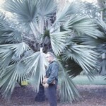 GrandpaJan20_1963 Somewhere around Homestead. Looks like Grandma made him carry her purse...