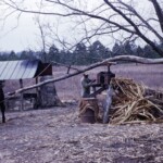 GrindingSugarCaneOrlandoJan6_1963