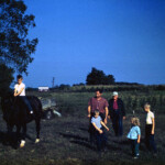 David on Charlie, with Mark, Pat, and Joe watching along with Dad and Great Grandpa Hockersmith. Summer, 1961 on my great grandparent's farm.