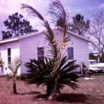 HomesteadHouseAfterPaintMar1963 Grandpa Crum sitting on the step. I imagine he had just finished painting the house.