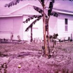 HomesteadHouseBackMar1963