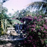 HomesteadVisitChristmas1966_6