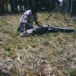 IndianAlligatorWrestlerFrogCityFlaMar6_1965