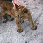 IndianRiverCityJan6_1963_2