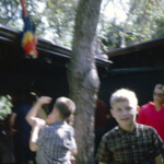 JoeDaveMark ParrotJungle Dec28_1966