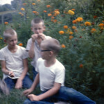 JoeDavidMarkSept4_1963 Grandma just wanted to take a picture of her flowers, I imagine. She grew some nice flowers.