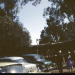 Knotts Berry Farm Covered Wagons Aug1961