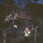 Mark and David in the tree, Joe and his BB gun on the ground, by the old cherry tree in the yard of the farm house. Fall 1961.