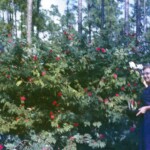 MrsLovallAtCDWalkersJan27_1963