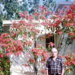 Grandma's note on the slide says "Oren by our Flowers, Christmas 1965". Grandma loved her flowers.