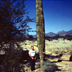 Grandpa with a cactus, Mojave, Arizona. Summer 1961