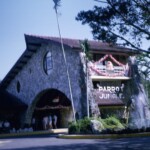 ParrottJungleMiamiDec28_1965