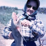 PrehistoricCanalEvergladesMar1963