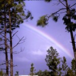 Rainbow From Homestead House Jan14_1966