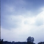 VincennesIndSkeltonParadeSept3_1963_Skydivers