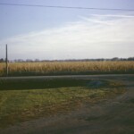 Walt Pheasant Hunt Oct30_1966 in Nebraska