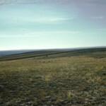 Wild Antelope Edgerton Wyoming 1961